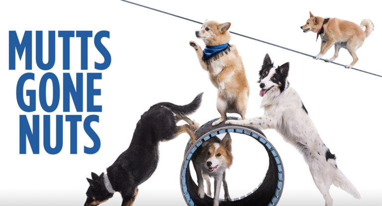 Mutts Gone Nuts: Talented Troupe Returns To The Ren