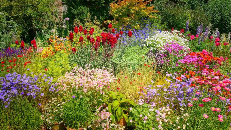 Ohio Wildflower Bloom Report #2