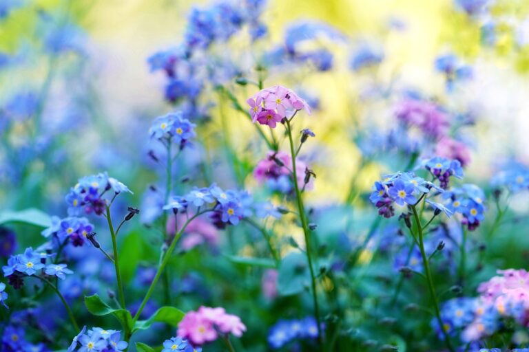 ODNR Shares First Wildflower Bloom Report Of 2023