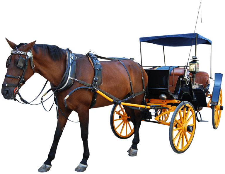 Galion History Corner: The Galion Years Of Henry D. Lee: Chapter Six: Mr. Lee, The Man
