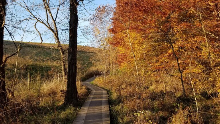 Watch The 2023 Ohio Fall Color Forecast