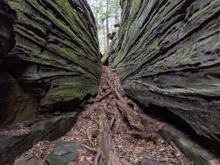 The Ten Closest National Parks To Galion