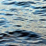 Everything You Always Wanted To Know About: Amann Reservoir