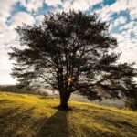 Sunrise Hike Comes To The Ohio Bird Sanctuary