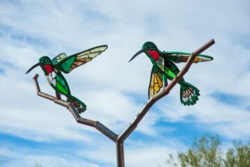 Glass Takes Flight At Kingwood This Summer