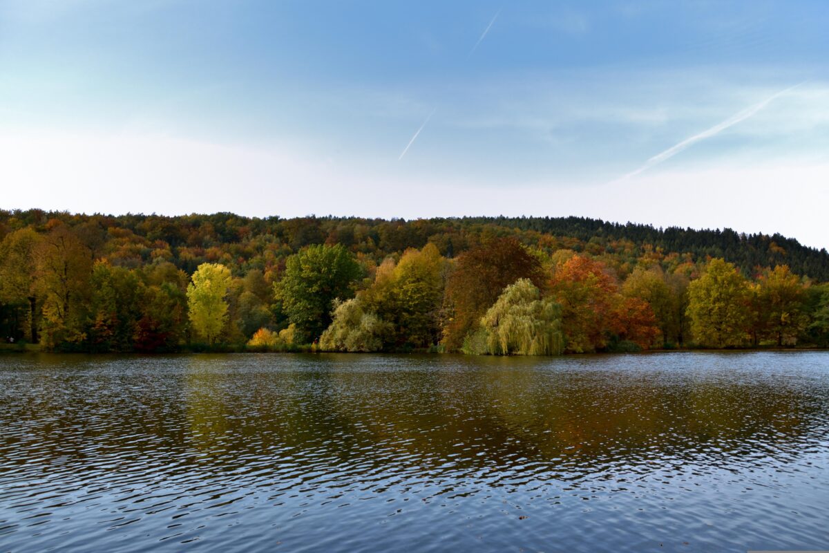 Everything You Always Wanted To Know About: Clear Fork Reservoir