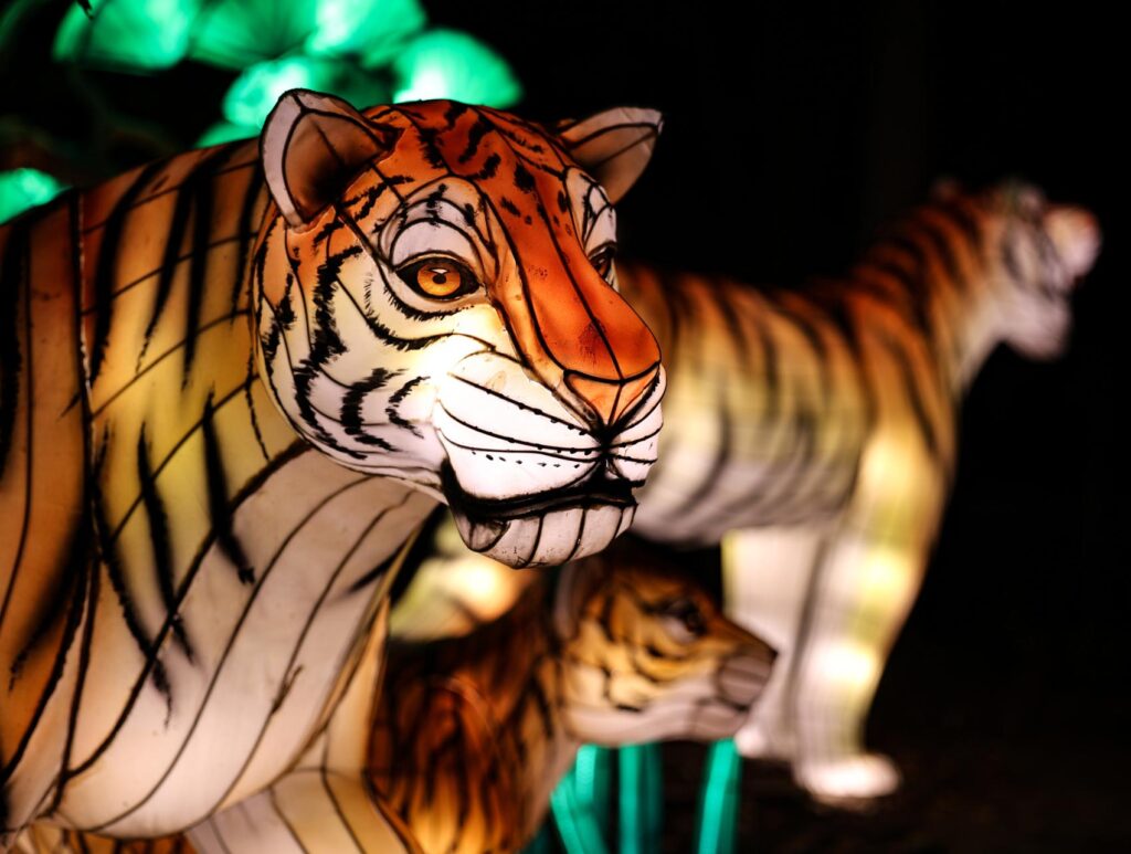 Summer Road Trip: Step Into A World Of Light At The Columbus Zoo Lantern Festival