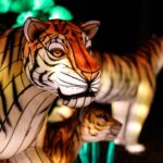Summer Road Trip: Step Into A World Of Light At The Columbus Zoo Lantern Festival