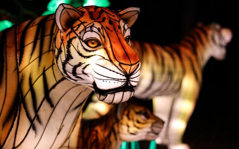 Summer Road Trip: Step Into A World Of Light At The Columbus Zoo Lantern Festival