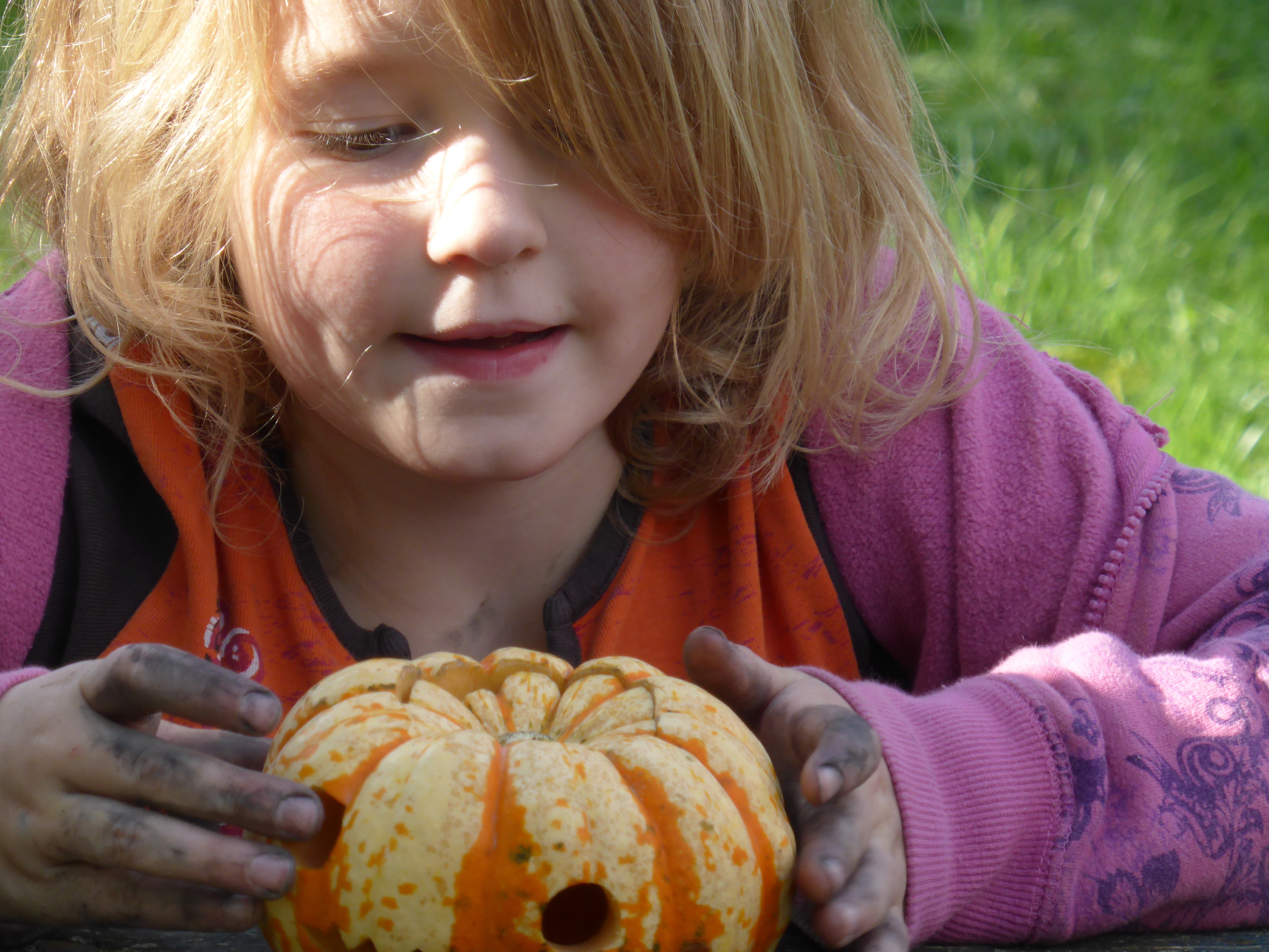 Little Explorers Welcome Autumn One Leaf At A Time