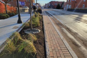 The Development Race Galion Cannot Afford to Ignore
