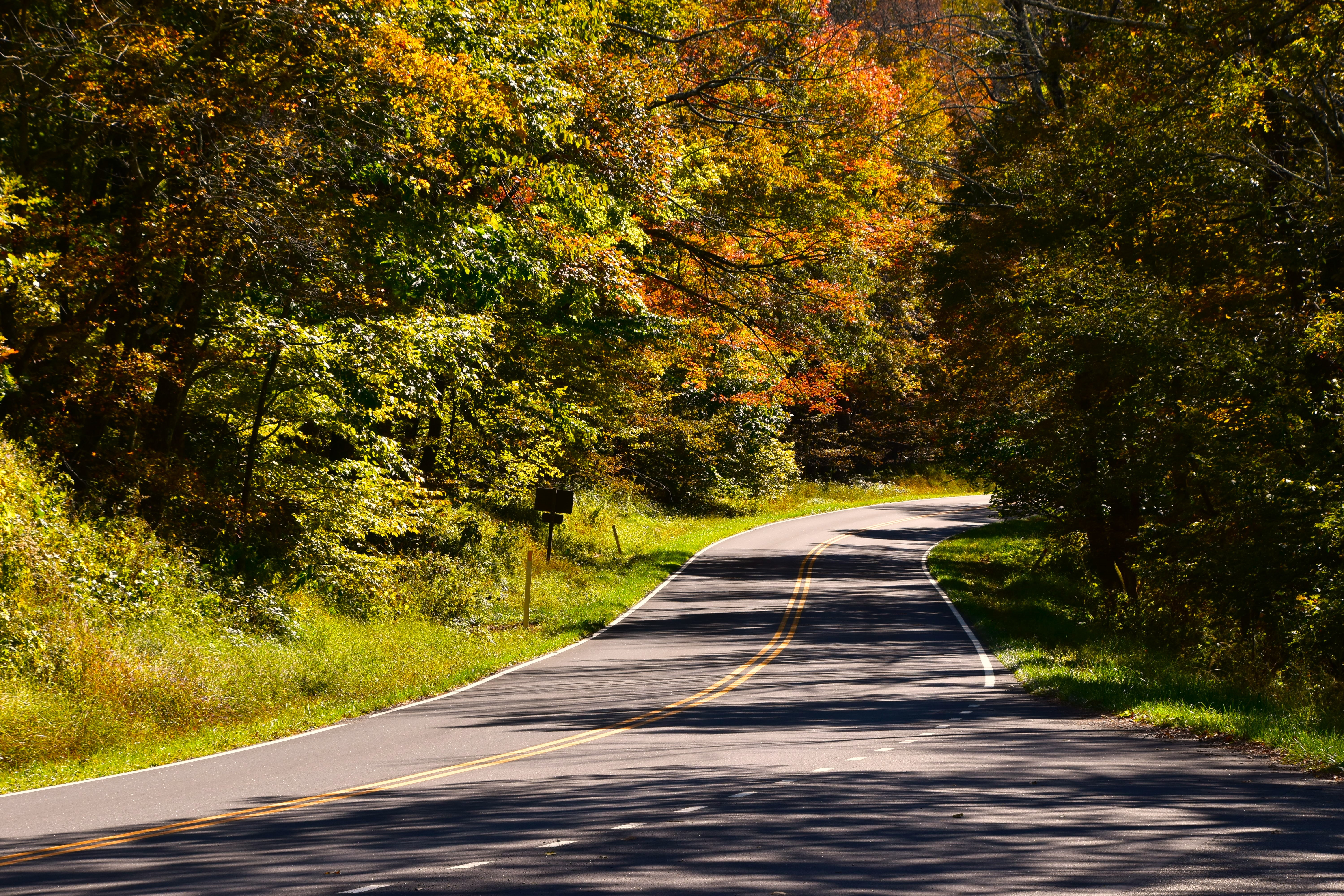 ODNR Shares Its Third Fall Color Update (With Video)